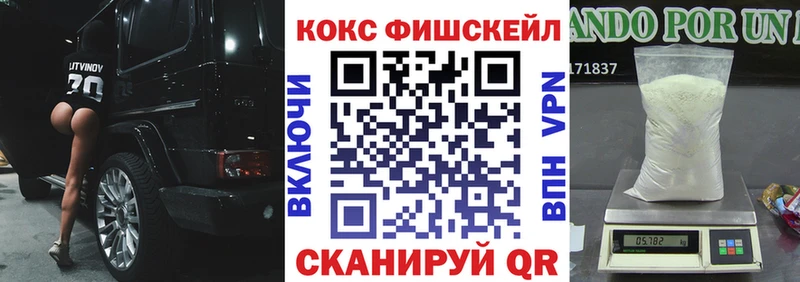 COCAIN Fish Scale Дыгулыбгей